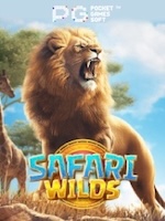 Safari-Wilds
